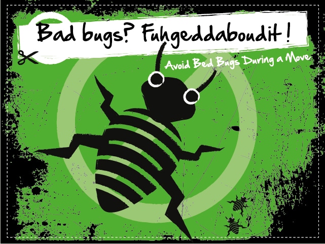 Bed Bugs Fugeddaboudit
